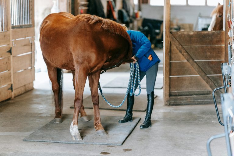 pexels-barbara-olsen-7882326