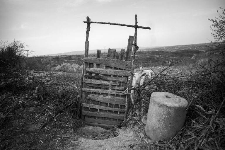 pexels-dazzing-zhang-743767927-31428921