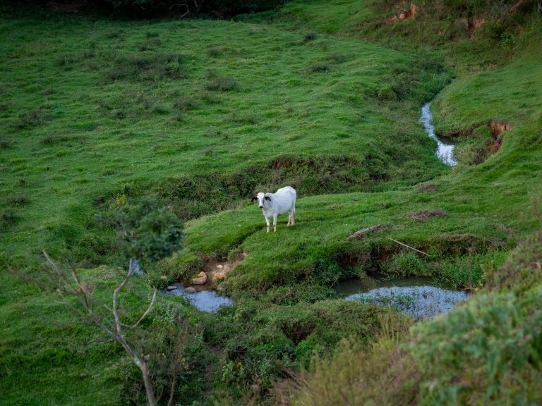 pexels-sofus-25525106