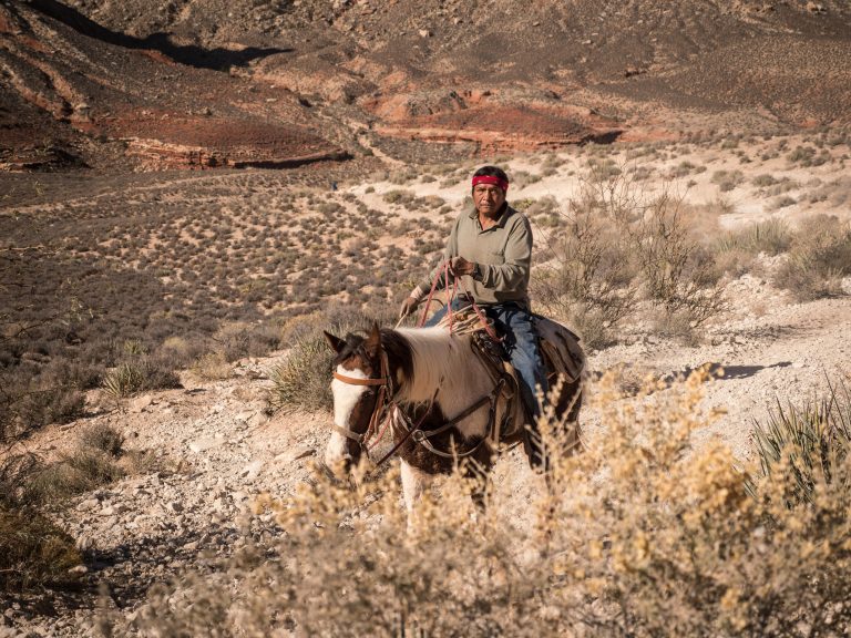 pexels-stephen-leonardi-587681991-18353700